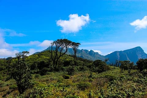 Hiking in Knuckles range with overnight accommodation in a mud cottage