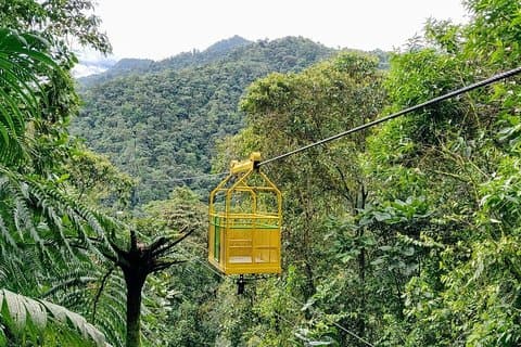 Full day Mindo from Quito - Private Tours