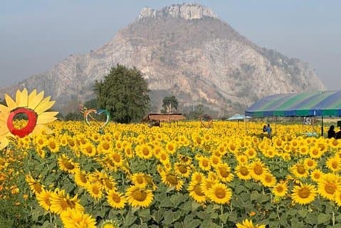 Excursion d'une journée au parc national de Khao Yai au départ de Bangkok