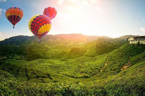 2D1N Maleisië Escape : Cameron Highlands, Batu Caves & Ipoh