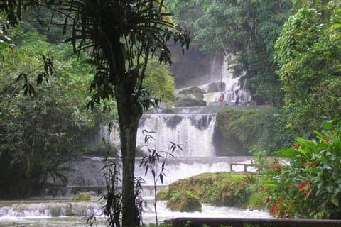 YS Falls en Sightseeing Tour Day Adventure