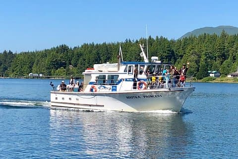 Hvalsafari & sightseeingtur i Ucluelet, Vancouver Island
