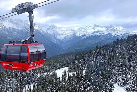 Whistler Sightseeing Tour vanuit Vancouver: zie Horseshoe Bay en Shannon Falls