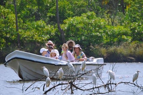 Muthurajawela Vogelbeobachtungsbootstour