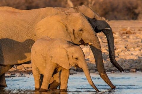 10 Days Taste of Namibia - Self Drive Lodge