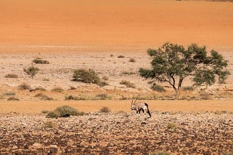 15 días sobre Namibia | Self Drive Lodge