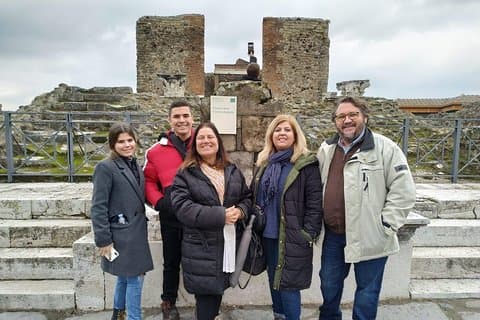 Visit Pompeii with an expert professional guide (2/3 hours)