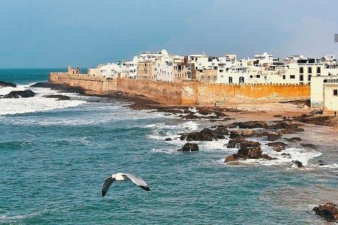 From Marrakesh : Full Private Day Tour To Essaouira Mogador