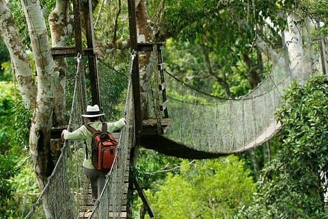 Tambopata (Puerto Maldonado) 5 días