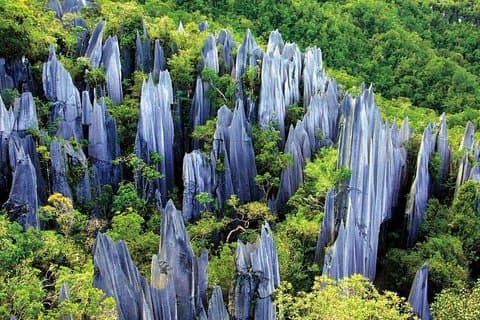 3-tägige private Entspannungs-Tour von Kunming inklusive Steinwald