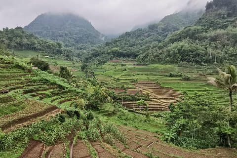 Geheimnisvolles Ulen Sentalu Museum & Unglaubliche Aussicht Trekking Selogriyo Tempel