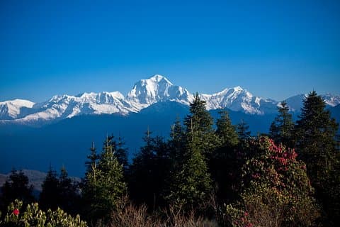 2 Tage australischer Camp Trek ab Pokhara