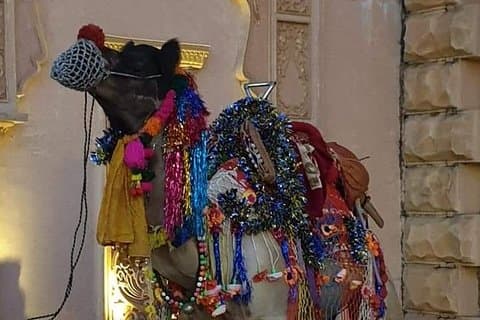 Royal Rajasthan 10-daagse privétour-pakket met de auto