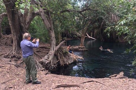 Materuni waterfalls, coffee tour & kikuletwa hot springs