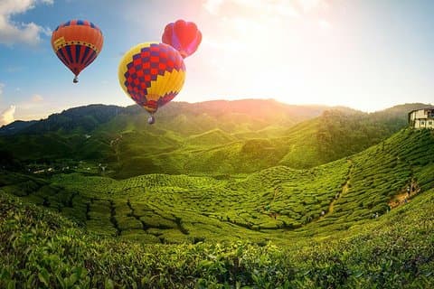 2D1N Nature & Patrimoine : Cameron Highlands, Ipoh & Fireflies Tour