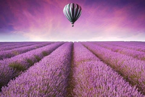 1 dag romantisk tur i Oriental Provence Lavender Manor og Mutianyu Great Wall