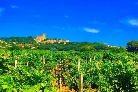 Provence Cru Wine Small-Group Half-Day Tour from Avignon
