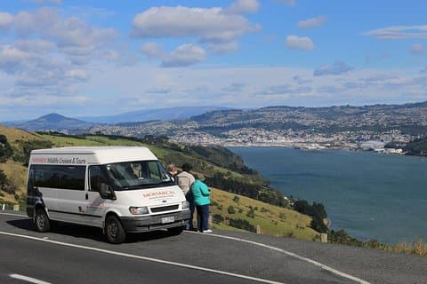 Dunedin City to Sea Wildlife Cruise + Peninsula Bus Tour