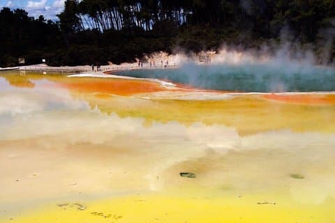 Privétour met kleine groep naar Wai-O-Tapu & Te Puia Rotorua ex AKL