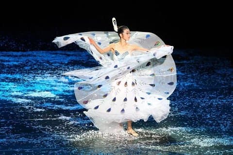 Private Nachttour, um die dynamische Yunnan-Show zu genießen