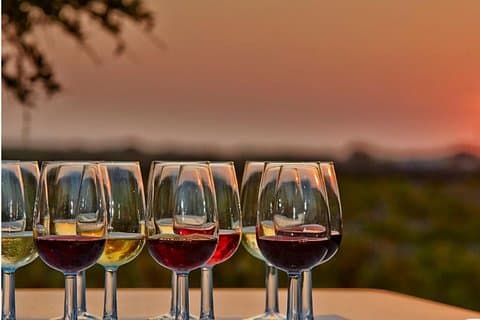 Tour privato del vino attraverso la vite