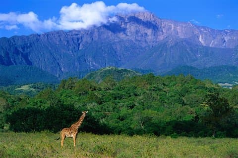 1 dag: Arusha nasjonalpark