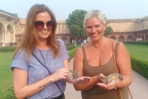 Alt inkludert: Taj Mahal-tur samme dag fra Delhi