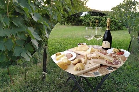 Pic Nic dans le vignoble de PODERE CASANOVA
