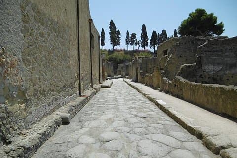 Visite privée d'Herculanum et du musée archéologique de Naples au départ de Rome