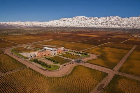 A day in “Clos de los Siete