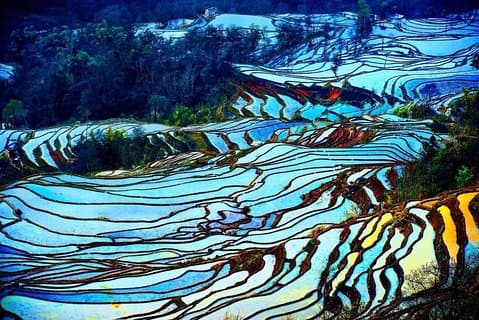 4 Days Yunnan Yuanyang Rice Terraces Photography Tour from Kunming