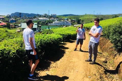 Ontdek Nuwara Eliya - Waterval & Theefabriek Tour