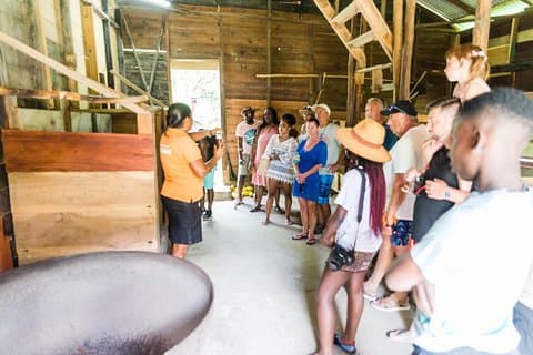Excursion à la Soufrière avec dégustation de rhum et de chocolat