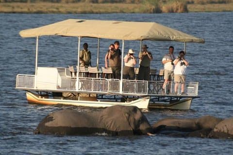 Esperienza di un'intera giornata a Chobe