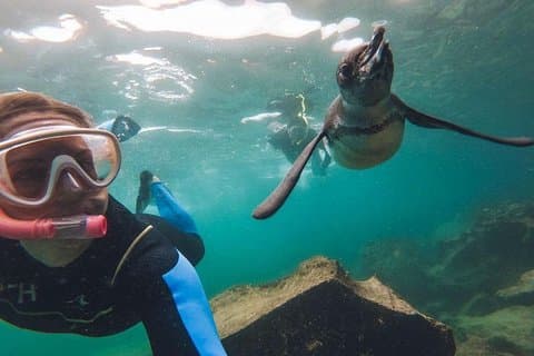 6 - giorno Galapagos Island Hopping Adventure Expedition