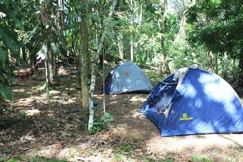 10-Day Expeditions in Dorado Lake Pacaya Samiria National Reserve