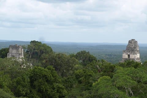 Sitio Tikal Maya con guía local y almuerzo