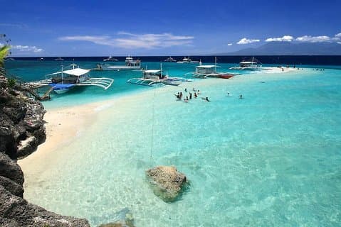 Whale Shark Watching with Canyoneering & Kawasan Falls + Sumilon Sandbar