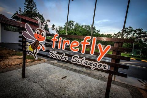 Kuala Selangor Firefly Tour