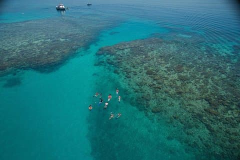 Ocean Freedom Great Barrier Reef Luxus Schnorchel- und Tauchtour