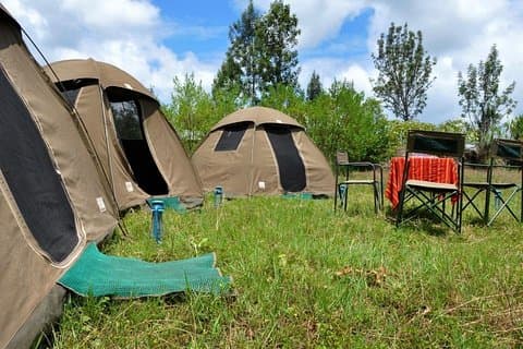 5 Tage im Herzen von Serengeti (Serengeti, Ngorongoro, Lake Manyara)