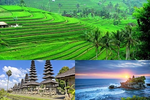 Jatiluwih Reisterrassen & Tanah Lot Touren