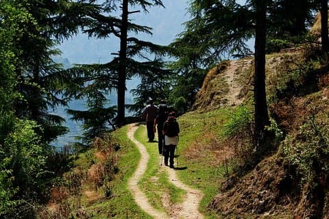 Trek's around Mussoorie