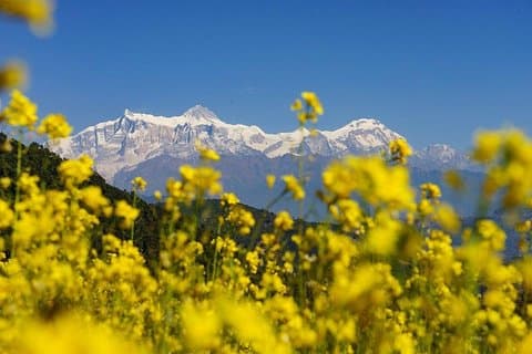 Trekking di 4 giorni: Panchase, Bhandure e Sarangkot da Pokhara
