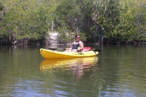 Une seule location de kayak pendant 2 heures avec des observations de lamantins et de dauphins !