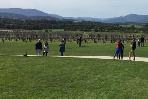 Scenic Private Yarra Valley Wine Tour