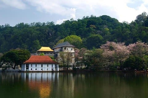 3-daagse tour naar Kandy Nuwara Eliya en Sigiriya vanuit Colombo