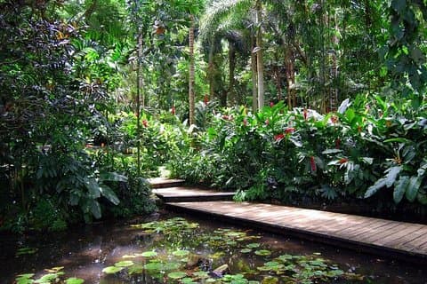 Nadi Sightseeing Include Viseisei Village, Market, Garden& Temple
