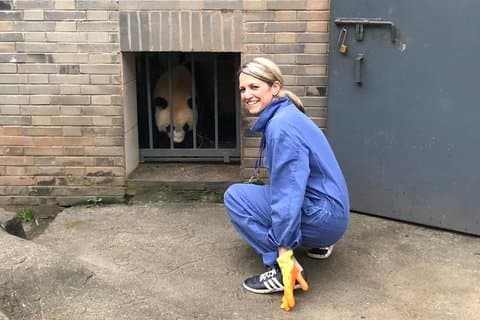 Voluntario privado de día completo Panda y recorrido por el sistema de riego Dujiangyan