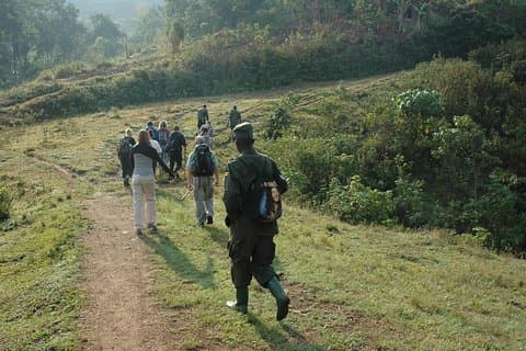 14 Day Uganda & Rwanda Primate Tour (Midrange Tour)